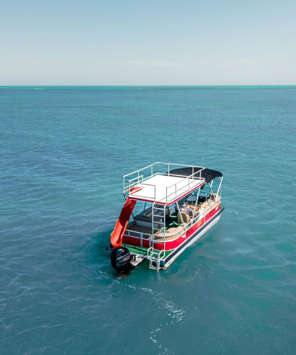 Holbox Ponton Tour